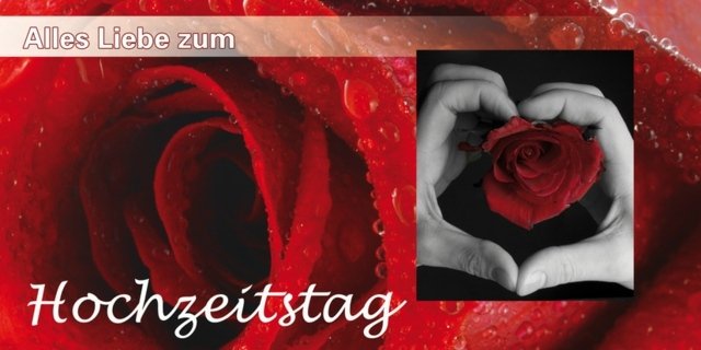 Svadobné oznámenia gratulujeme novomanželom červené ruže Obraz-s-ruzou-dvoma rukami-svadobny den