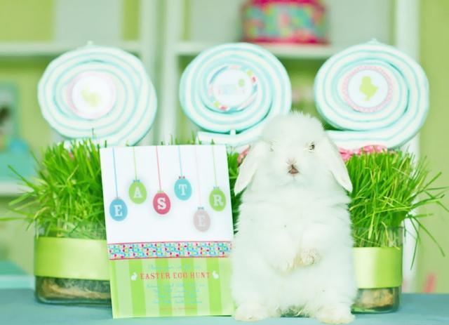 Veľkonočná dekorácia párty nápad trávová váza lízatko figúrka králika