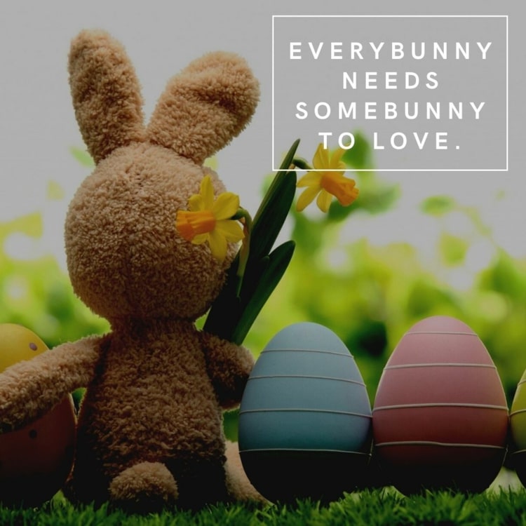 Anglické veľkonočné pozdravy 2021 - Everybunny potrebuje somebunny na lásku