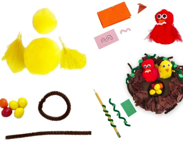 Stručný sprievodca pre mláďatá a hniezdo vyrobený z čističa potrubí