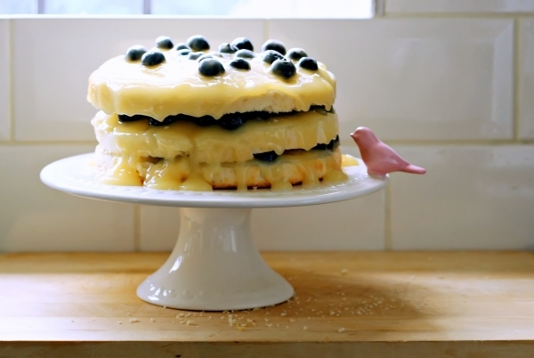 Veľkonočné recepty, suroviny na citrónový koláč, bobuľový prášok do pečiva, vanilka