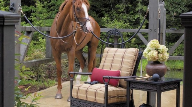 nábytok kone sedák mäkká váza kvety ružové vonkajší vankúš na sedenie mäkká váza kvety ružový vankúš