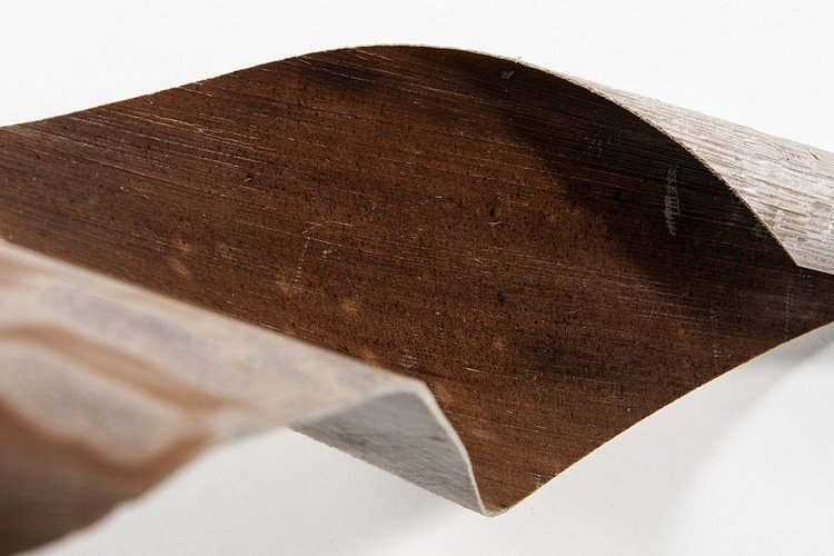 koberec z palmových listov vegánska udržateľná alternatíva tenká vrstva prírodného materiálu palmová koža