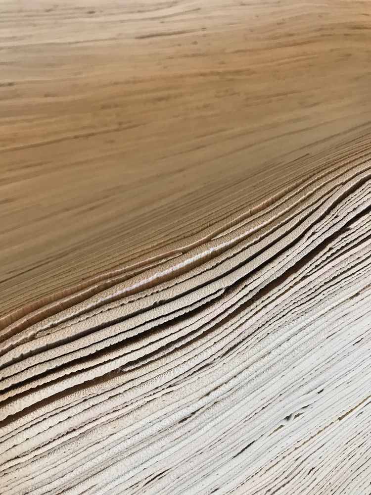 koberec z palmových listov vegánsky udržateľná alternatíva tenké vrstvy prírodných materiálov