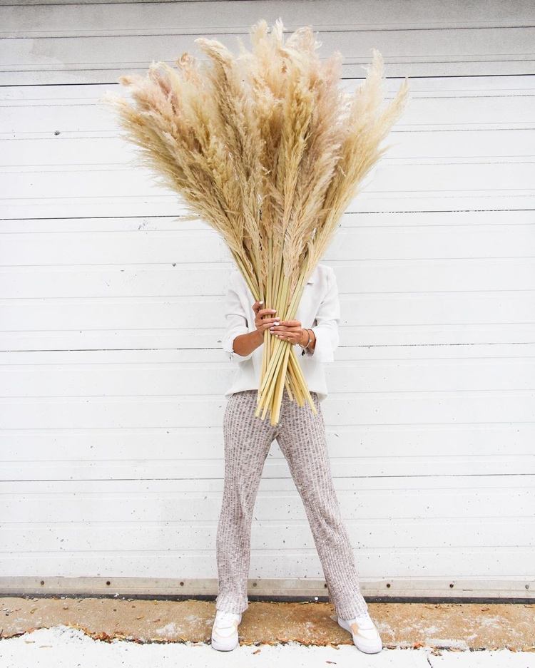 nadýchané listy z obrovskej trávy pampy