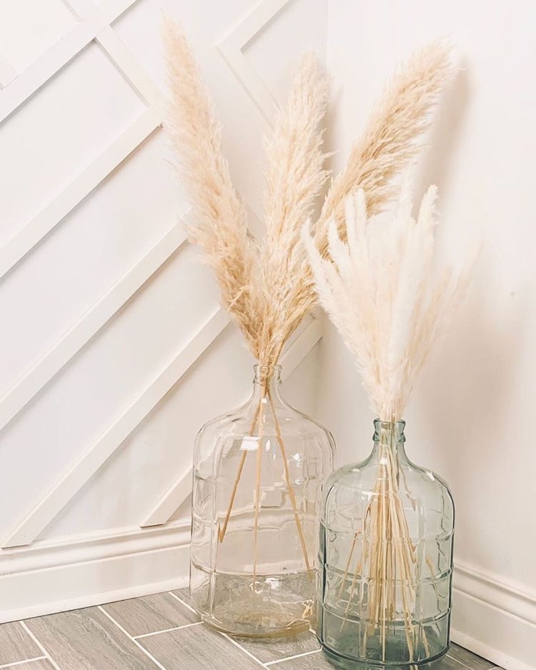Vložte trávu pampy dovnútra do vysokých, veľkých sklenených váz