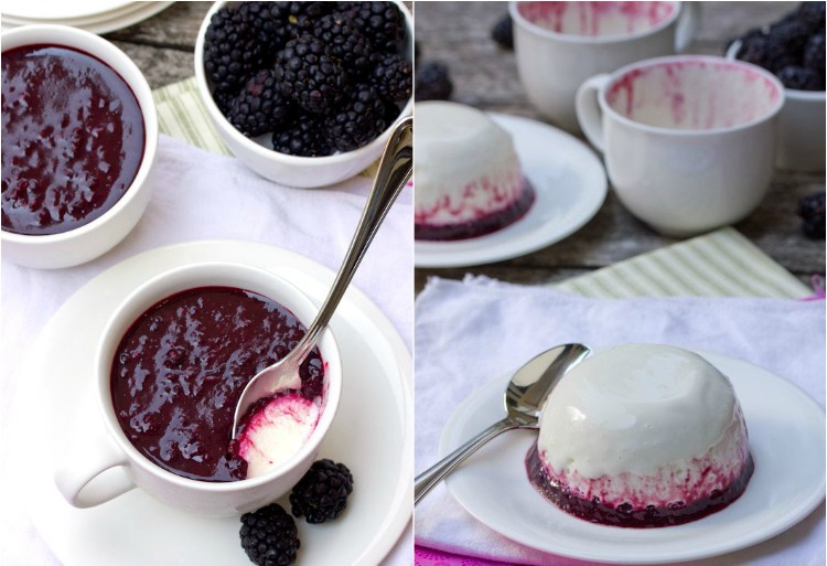 nízkotučný jogurt panna cotta recept ovocné želé