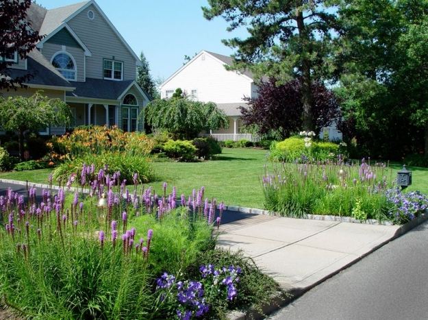 Predzáhradku navrhnite s kvetmi a okrasnými trávnikmi