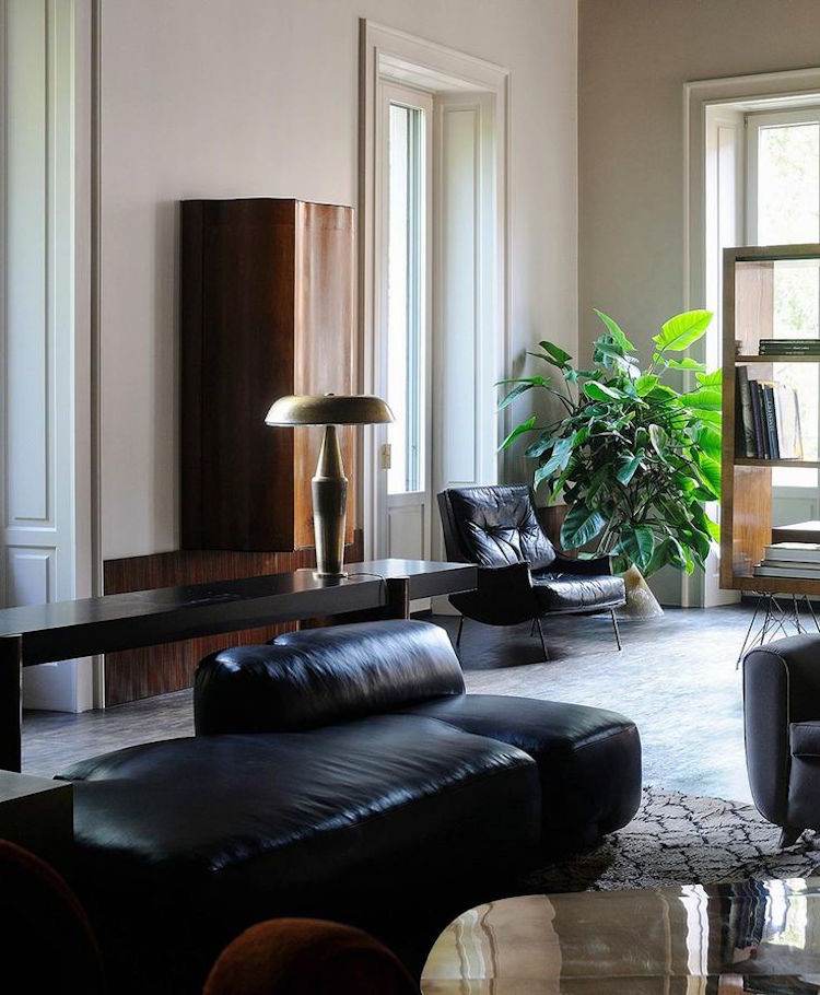 rastliny kože s patinovým efektom