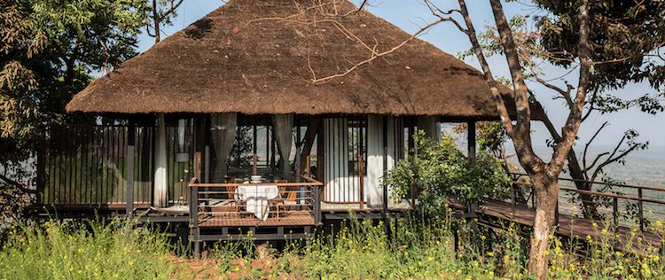 Pavilón so slamenou strechou -prirodzene-krásny-les-príroda-most