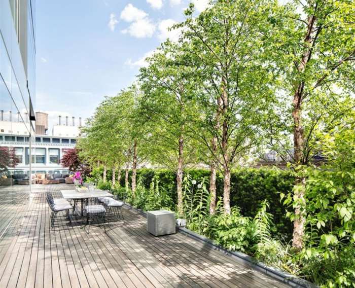 Stromy-prírodné-okolie-veranda-drevo