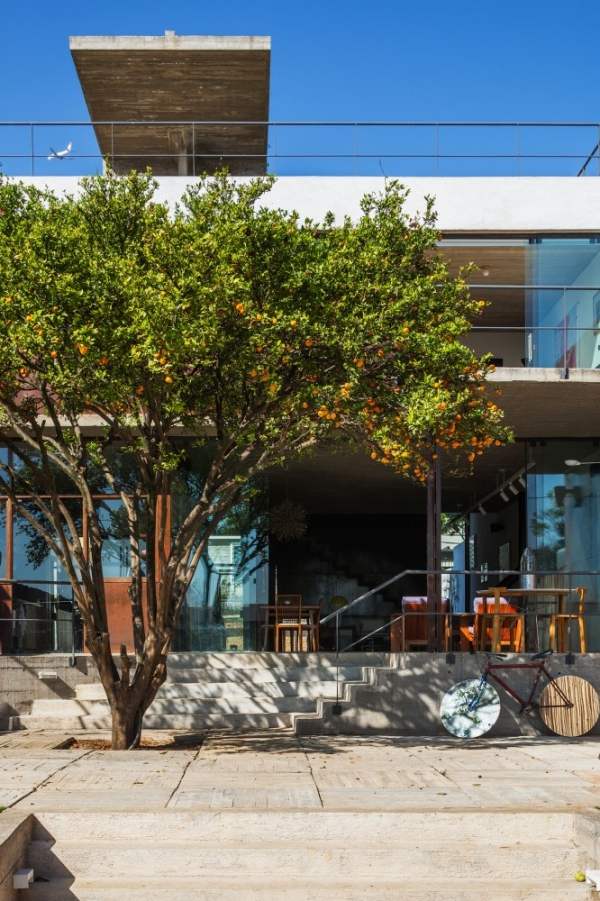 sao-paolo-dom-strom-čelný-obrázok