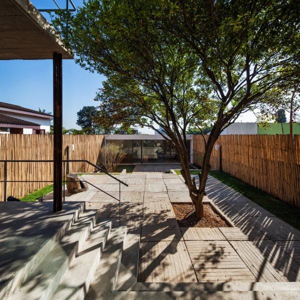 dom-dvor-brazília-saopaolo-strom