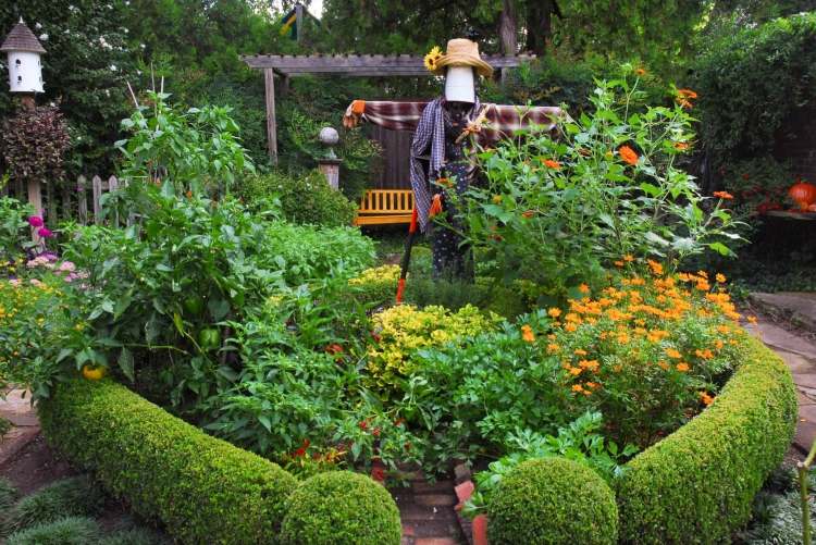 permakultúrna záhrada malá zelenina kvety ovocie