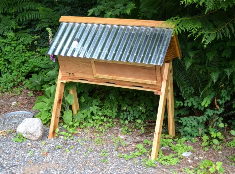 permakultúrna záhrada včelí sad vytvára lesnú záhradu