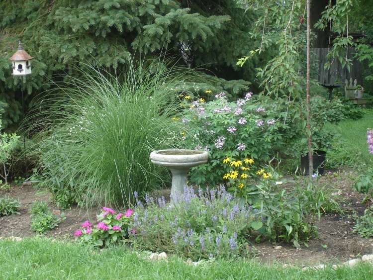 permakultúrny záhradný vták likviduje škodcov