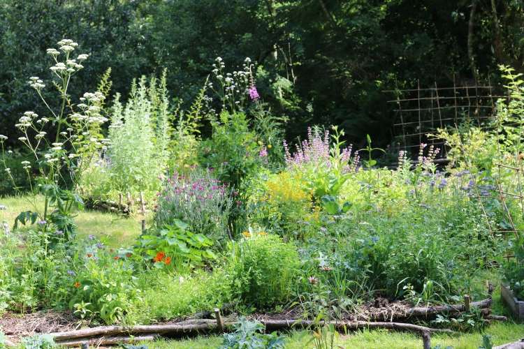 Permakultúrne záhradné plodiny kombinujú príklady