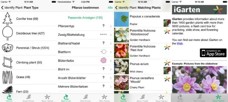 Rastliny Rastliny-identifikujte-app-technology-smartphone-iPplant-