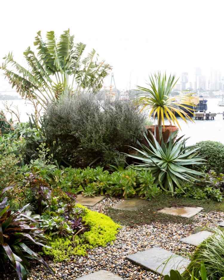 Rastliny na štrkové lôžko-stredomorská-agávová pôdna pokrývka-kríky-rozchodník-yucca-palma