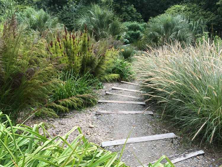 rastliny-štrk-lampa-čistič-tráva-záhradná-cestička-pampy-trpasličí palmy