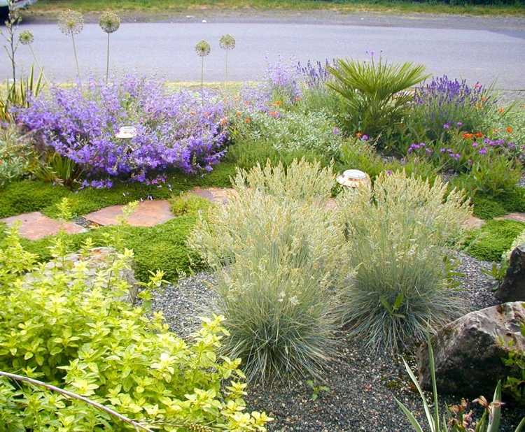 rastlina-štrk-kvet-cesnak-jazda na tráve