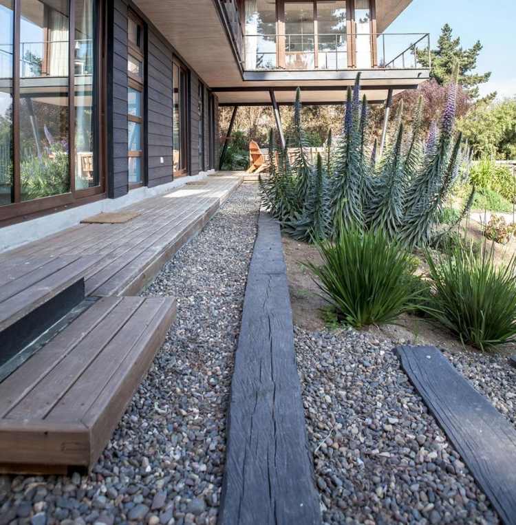 Odrody štrkové záhony-výsadba-tolerantné voči suchu