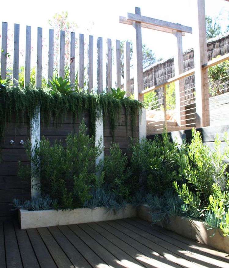 rastliny-proti-komárom-domáce-prostriedky-rozmarín-eukalyptus-črepníkové rastliny-terasa