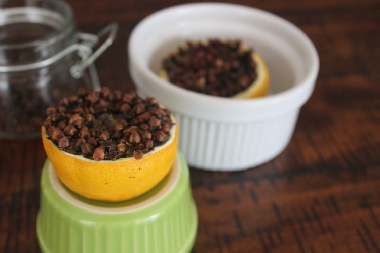 rastliny-proti-komárom-domáce-prostriedky-klinček-citrón-prírodná medicína