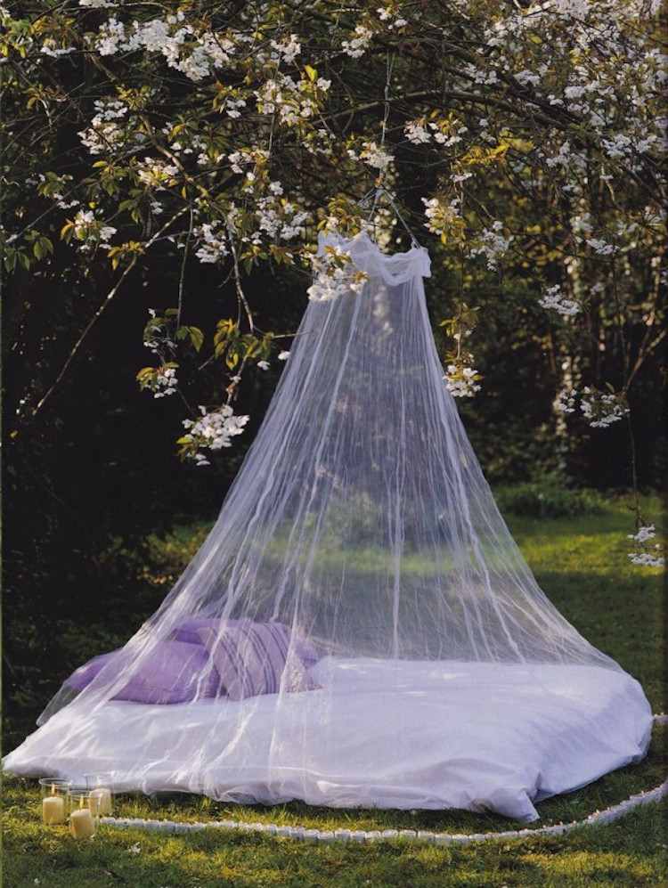 rastliny-proti komárom-domáce-prostriedky-moskytiéra-záhradné-tienidlá