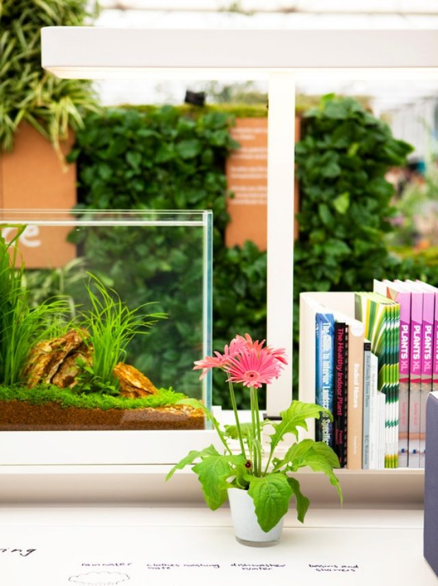 dekorácie na pracovisku črepníkové rastliny zelený kus-príroda dekorácie na pracovný stôl-kvetináč kvet zelený kúsok-príroda