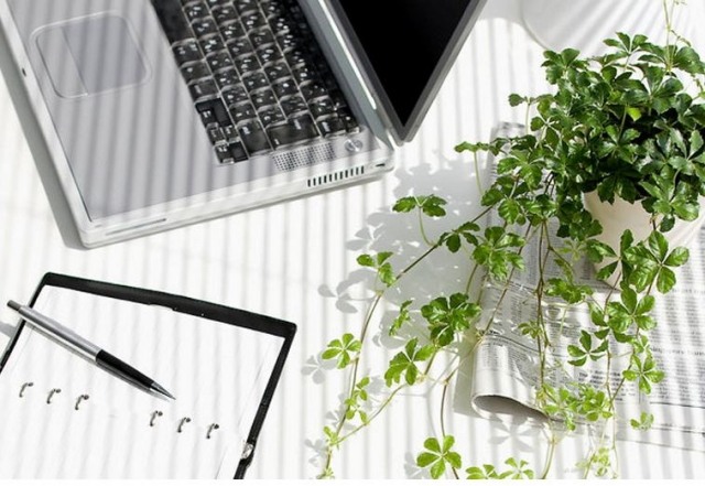 zdravá atmosféra-do-práce s rastlinami zdravá kancelárska atmosféra - ozdobená do práce - s rastlinami