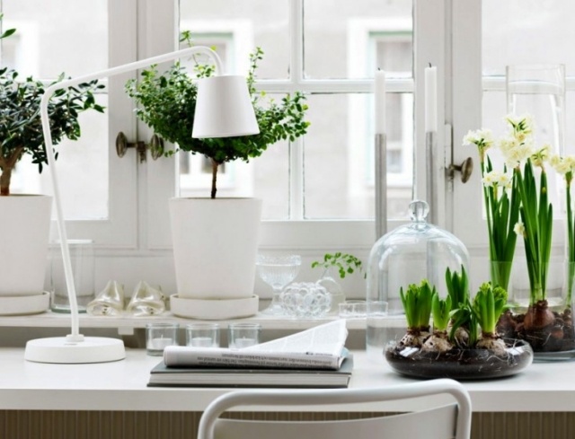 aranžmán stolný lampový biely kancelársky nábytok biely kancelársky nábytok-zelené rastlinné úpravy