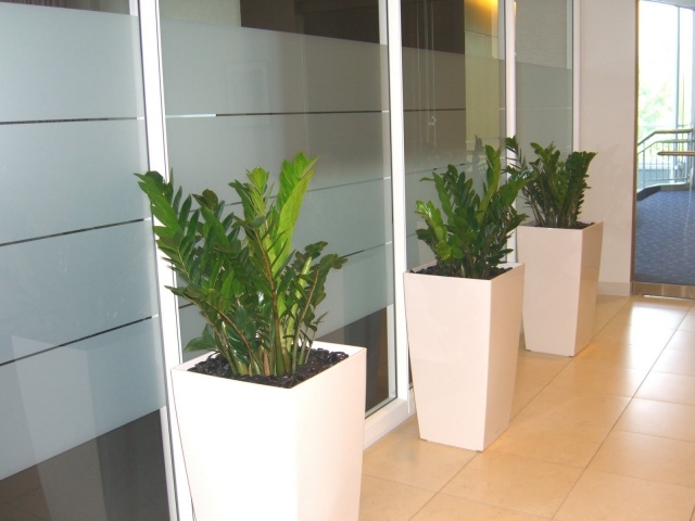 Biele kvetináče dopĺňajú interiérový dizajn pracoviska Biele kvetináče - na pracovisku - osviežia vzduch