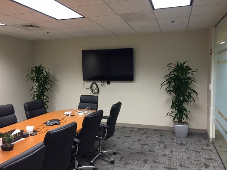 Skombinujte veľké rastliny jedného druhu v konferenčnej miestnosti rastliny-kancelária-drazaene-konferenčná miestnosť-temná-myšlienka-veľký stôl