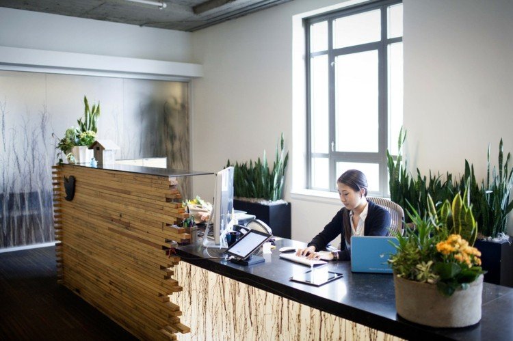 V administratívnej budove by mala každá oblasť obsahovať rôzne rastliny závod-kancelária-recepcia-luk-konope-aranžmán-kvetináč