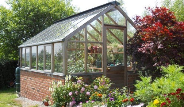 rastliny skleníkové tipy na pestovanie tehlových základov