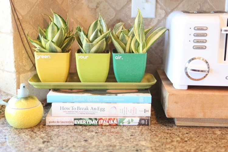 rastlina-kuchyňa-deco-hriankovač-kuchárska kniha-doska
