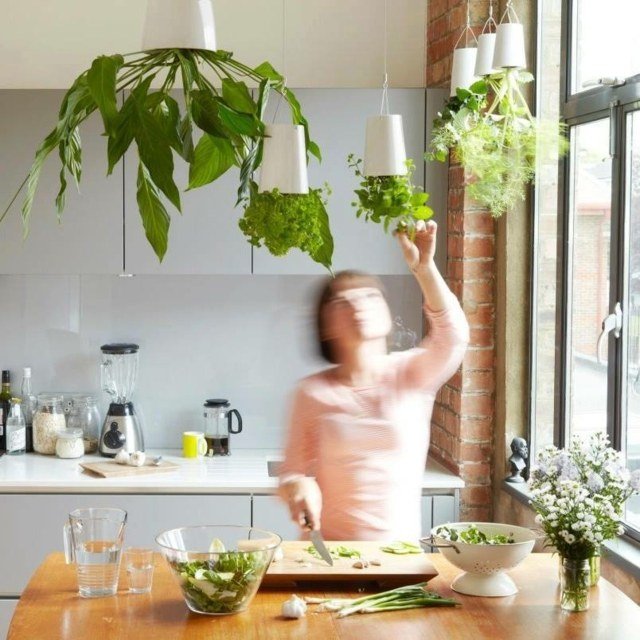 závesné vyberte zodpovedajúce kvetináče