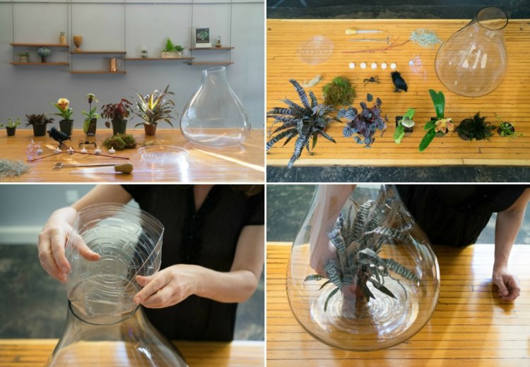 rastliny terárium halloween návod bromeliad akvárium