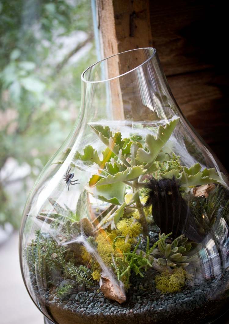 halloween rastliny terárium sukulenty mäsožravá sova diy inšpirácia strašidelné
