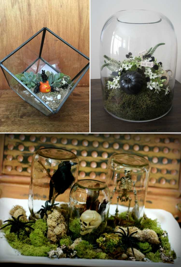 halloween rastliny nápady terária urob si sám lebka tekvica čierna