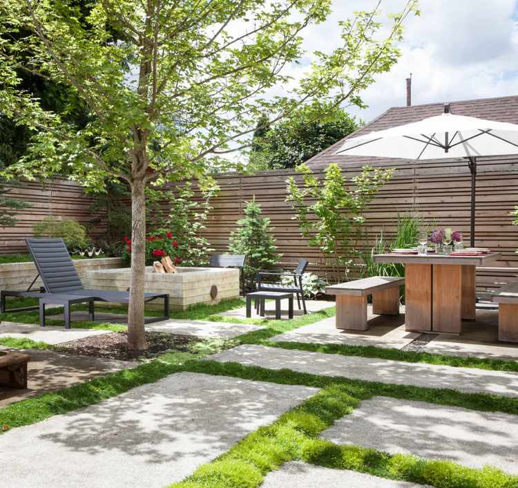 Hviezdny mach medzi veľkými betónovými doskami v záhrade Rastliny medzi kamennými doskami hviezdy mach-jedálenský kút-betón-krb