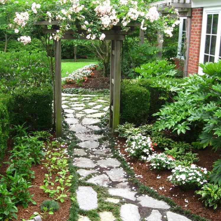 Ophiopogon Japonicus Nana ako hranica pozdĺž chodníka rastliny-medzi-kamennymi doskami-chodnik-Ophiopogon-japonicus-nana-japonsko-hadia brada