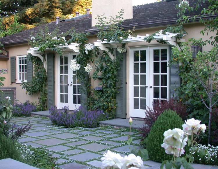 Isotoma fluviatilis (liana biela) rastliny-medzi-kamennými doskami-gaudich-zemný kryt-biely