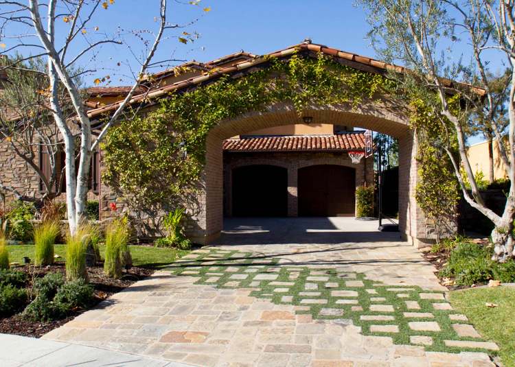 Zelené škáry pre príjazdovú cestu rastliny-medzi-kamennými doskami-príjazdová cesta-dlažobné kamene-čalúnenie-mäta