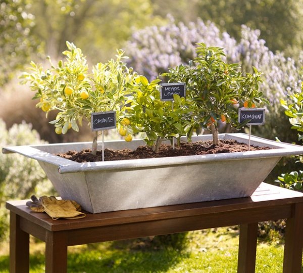 Vyrobte si rastlinné značky sami, tabuľové tabule