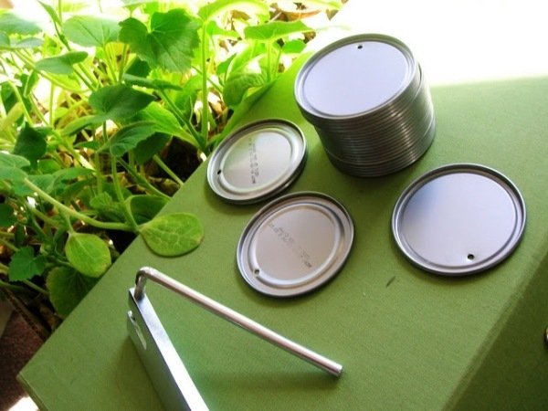 Urobte si rastlinné značky sami, nápad na dizajn zeleninovej záhrady