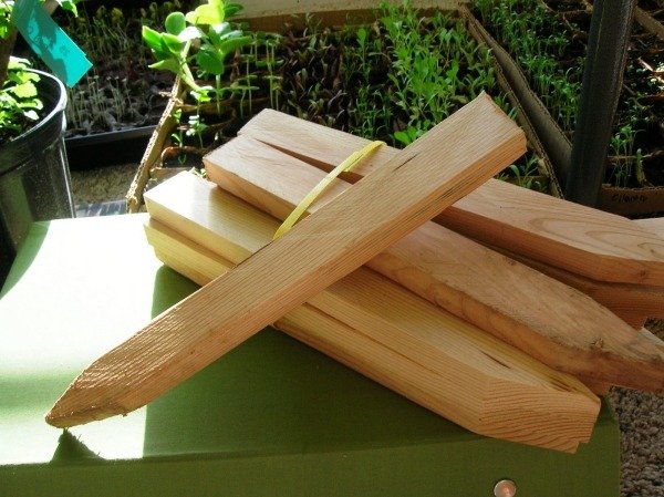 Samotné značky rastlín, drevené stĺpiky, zeleninová záhrada