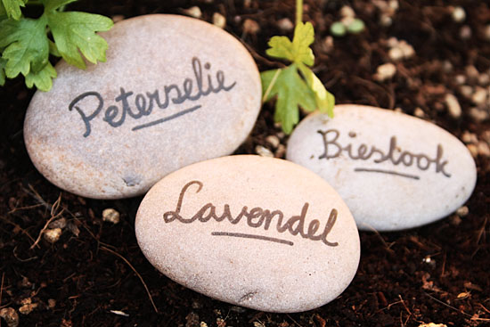 Rastlinné značky, kamene, fixky, zeleninová záhrada