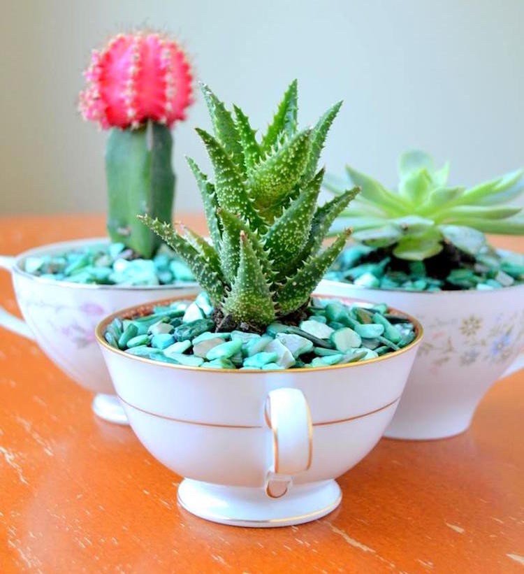 Sadzače vo vonkajšej oblasti-izbový-rastliny-šálky-deko-kaktusy